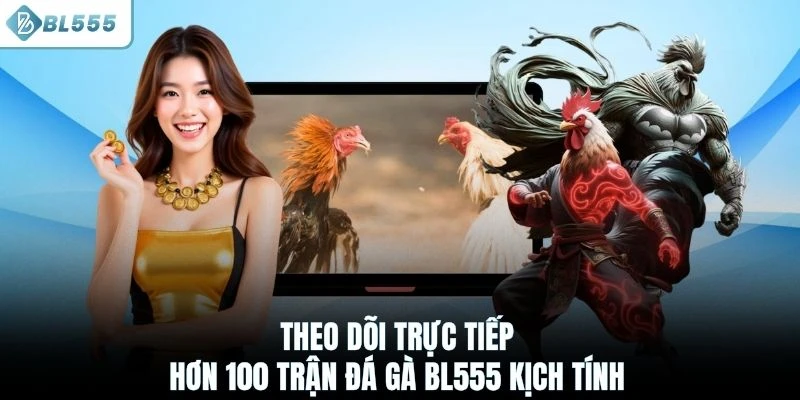 Theo dõi trực tiếp hơn 100 trận đá gà BL555 kịch tính